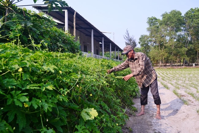 Quảng Trị: Chuyển đổi sinh kế giúp ngư dân nâng cao đời sống (19/6/2018)